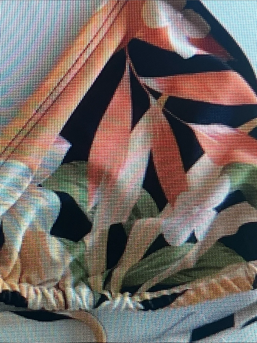 Hurley Black Peach Green Tropical Triangle Bikini Top